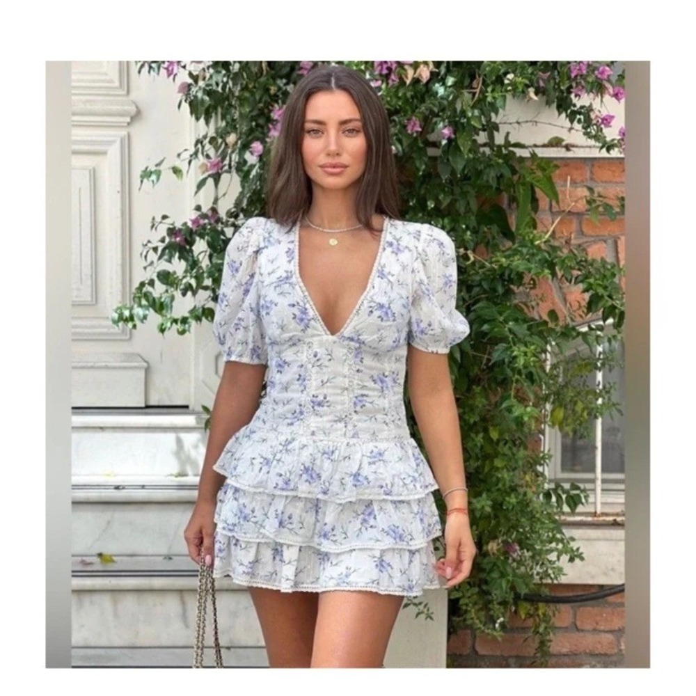 NWT Zara Printed and Embroidered Dress Size L V Neck Short Floral Blogger Fav